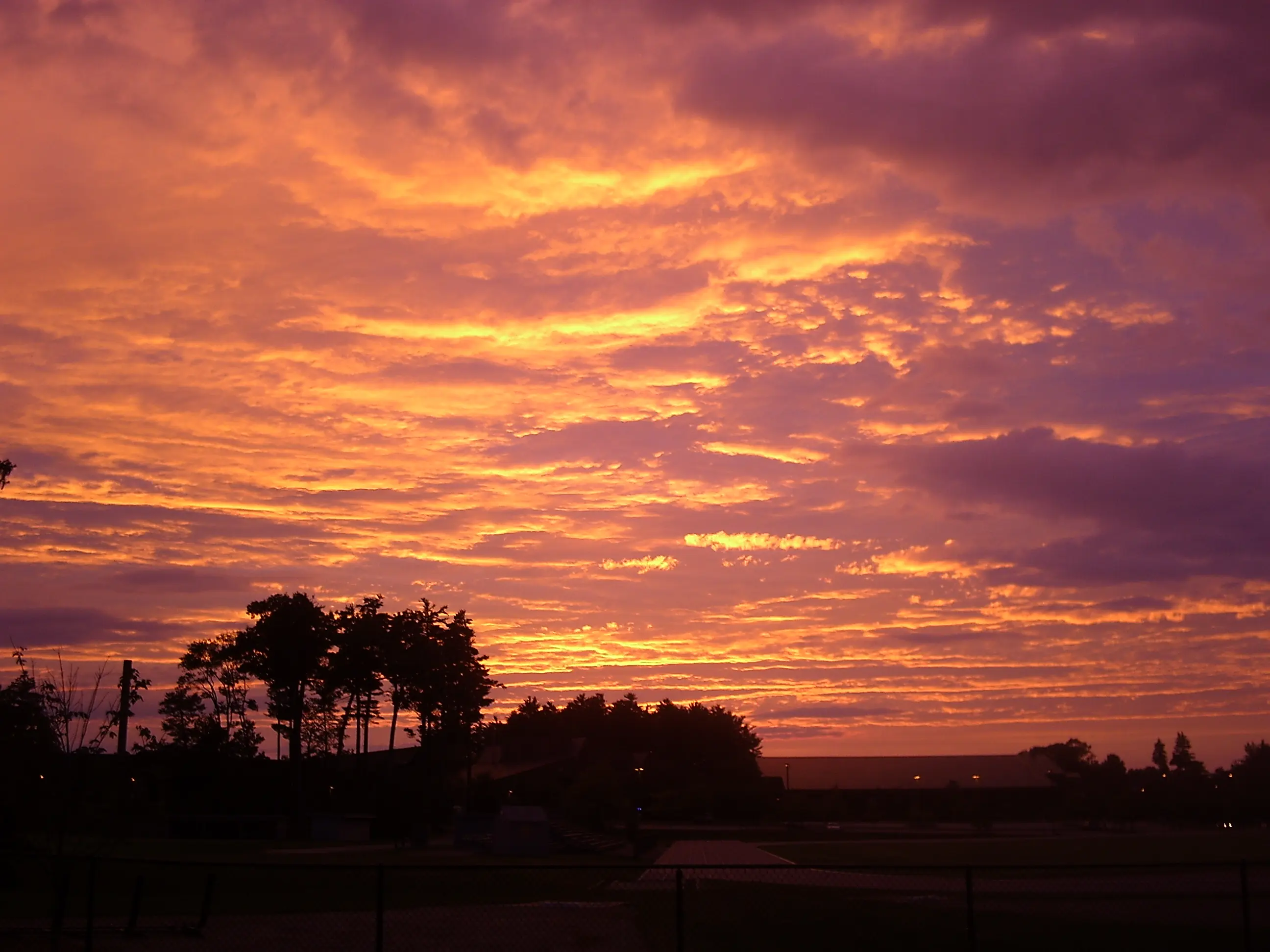 随机试验的三大要素、什么是随机试验的“有限尺度”，以及常见的随机试验举例 | 图 03.
